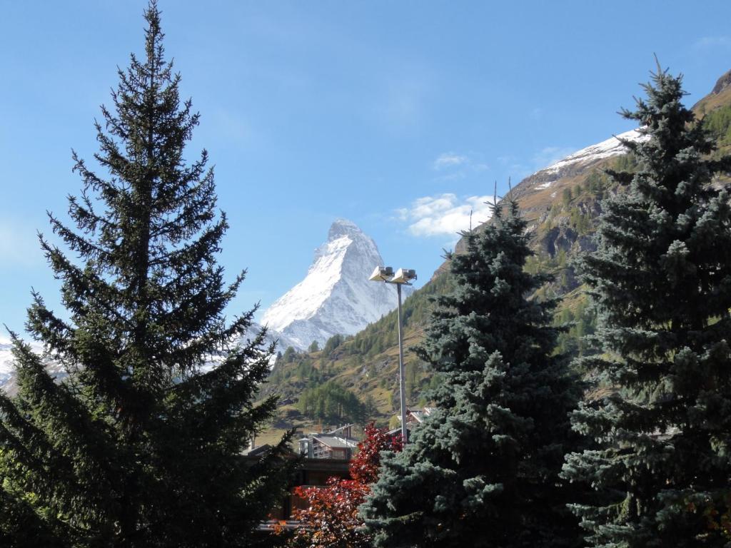 Hotel Cima Zermatt Zewnętrze zdjęcie